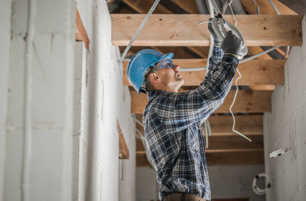 Best Electrician for Home Renovation  in Woodbury, MN